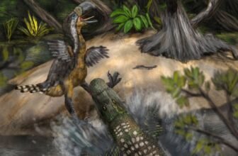 An Even Scarier Predator Hunted Big ‘Terror Birds’ in South America