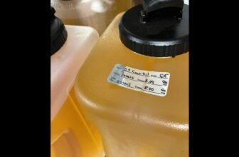 Restaurant Unknowingly Laces Pizza With THC, Doses Almost 100 Prospects