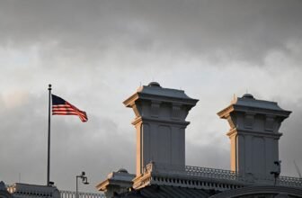 DOGE is reportedly pushing an AI instrument that will put half of all federal rules on a ‘delete record’