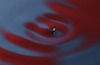 After 100 Years of Quantum Mechanics, Physicists Nonetheless Can’t Agree on Something