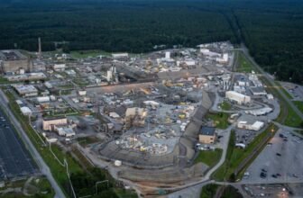 Radioactive Wasp Nest Present in Decommissioned Nuclear Weapons Plant