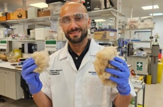 Toothpaste Made From Hair Works Higher Than Fluoride, Scientists Say