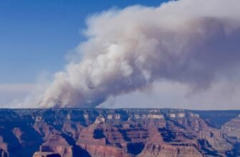 Grand Canyon ‘Megafire’ Explodes in Measurement and Is Now Creating Its Personal Climate