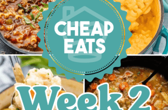 Low-cost Eats Week 2 (Heat Climate)