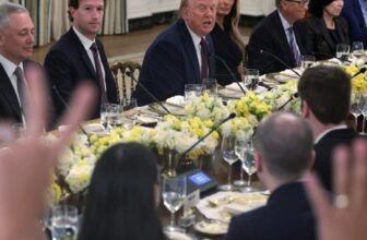 Massive Tech Tells H-1B Employees To not Depart Nation Attributable to Trump’s New Coverage