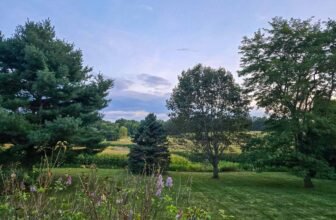 The Little Issues Publication #485 – Life, laughter, and plenty of nice meals!