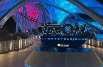 The Greatest Disney Park Journey Overlays, and The place to Discover Them