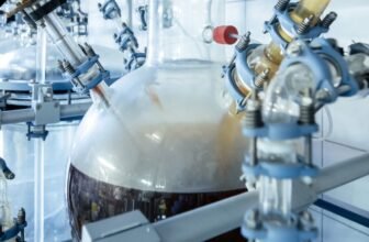 This Black Fungus Turns Plastic Waste Into Edible Substances