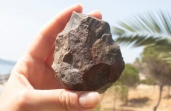 The Land Bridge You have By no means Heard Of