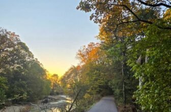 The Little Issues E-newsletter #491 – Life, laughter, and many nice meals!