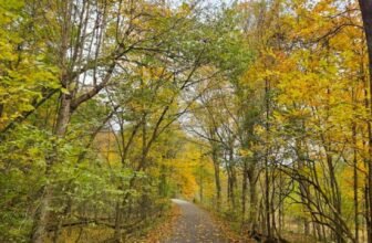 The Little Issues E-newsletter #492 – Life, laughter, and plenty of nice meals!